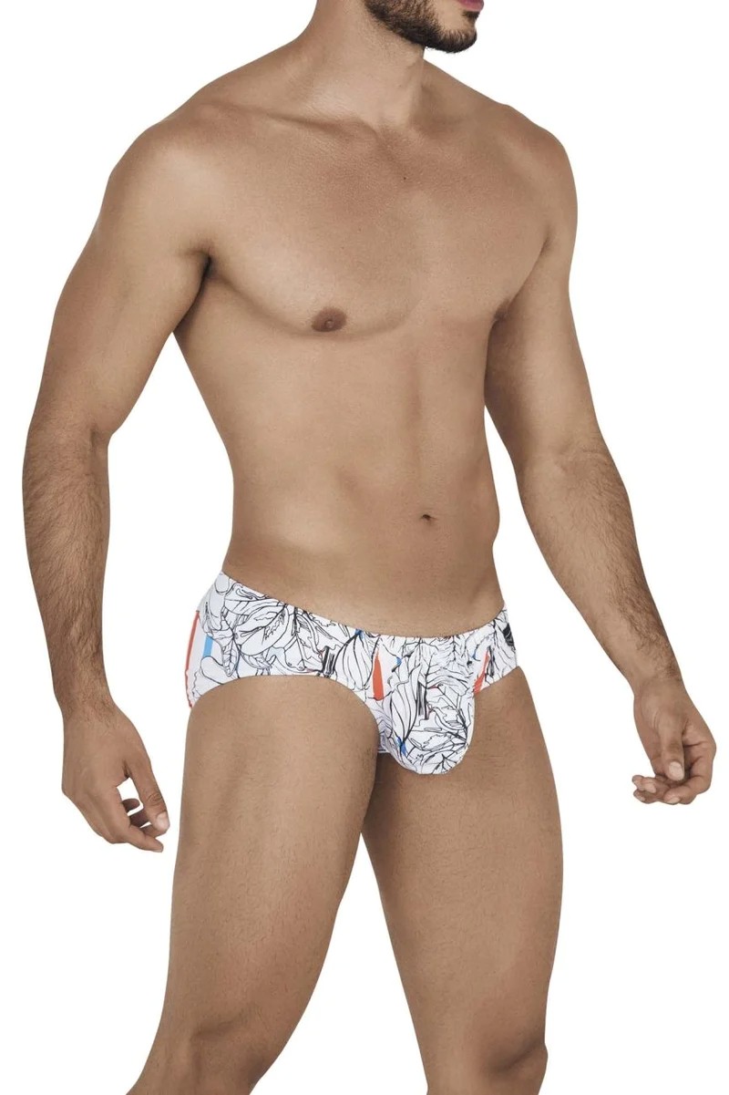 Clever 0546 Leaves Latin Briefs