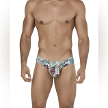 Clever 0540  Botanic Latin Brief