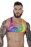 Pikante 1267 Rainbow Tie Die Ultra Crop Top